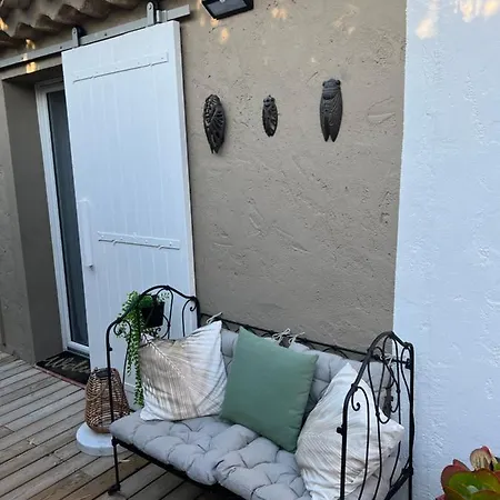 T2 La Palmeraie St Cyr Sur