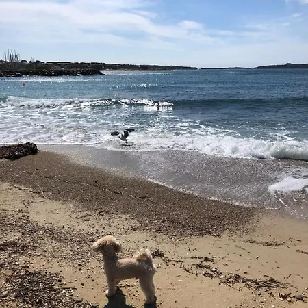 Casa de Férias T2 La Palmeraie St Cyr Sur